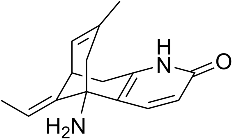 Huperzine A: The Ultimate Brain Supplement and Bodybuilding Aid